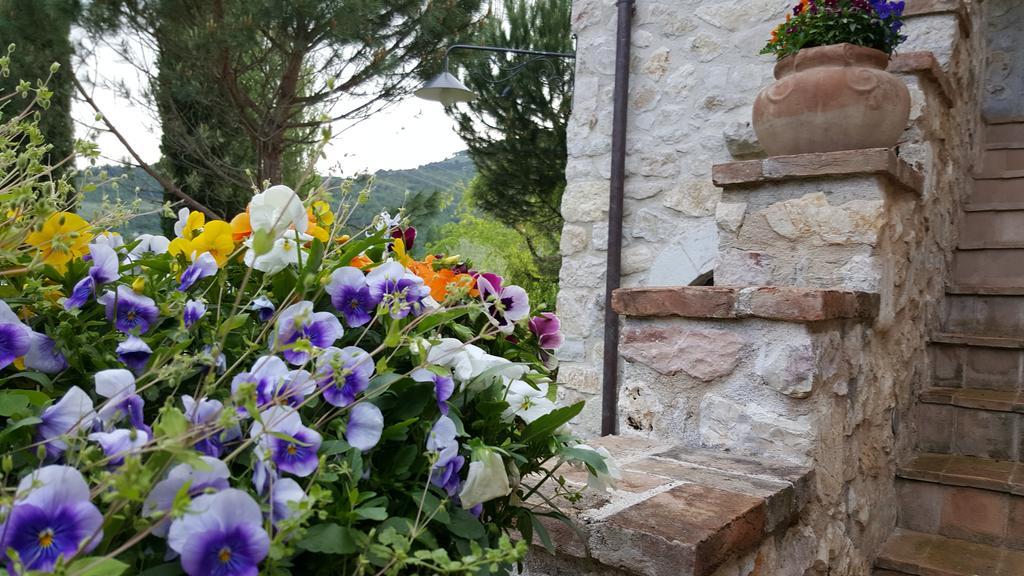 Agriturismo I Terzieri Ferentillo Exterior photo